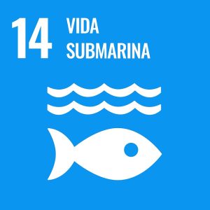 ODS - Vida Submaria